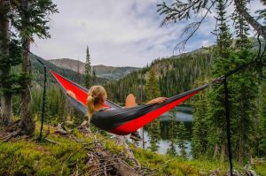 Read more about the article Immersed in Tranquility: Embracing Nature’s Beauty from the Hammock Haven