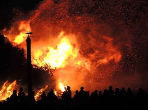 Read more about the article Fire breakout in Amazon forest, still out of control